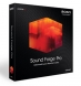Sony: Sound Forge Pro 10 PC